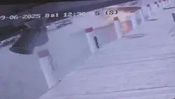 Video shows boat explode as it pulls away from gas dock near Detroit; dog dead
