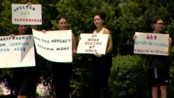Protesters decry ‘multi-system failure’ of Miami-Dade Animal Services after dog dies at Medley shelter